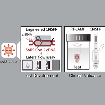 CRISPR-ENHANCED Paper Test Kits